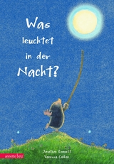 Was leuchtet in der Nacht? - Jonathan Emmett