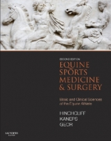 Equine Sports Medicine and Surgery - Hinchcliff, Kenneth W.; Kaneps, Andris J.; Geor, Raymond J.