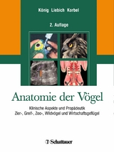 Anatomie der Vögel - 