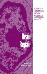 Brain Repair - 