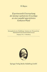 Experimentelle Untersuchung des laminar-turbulenten Umschlags an einer parallel angeströmten konkaven Wand - Hans Bippes