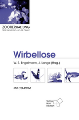 Zootierhaltung: Wirbellose - 