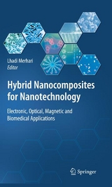 Hybrid Nanocomposites for Nanotechnology - 