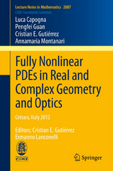 Fully Nonlinear PDEs in Real and Complex Geometry and Optics - Luca Capogna, Pengfei Guan, Cristian E. Gutiérrez, Annamaria Montanari