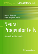 Neural Progenitor Cells - 