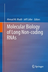 Molecular Biology of Long Non-coding RNAs - 