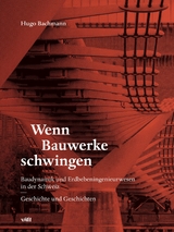 Wenn Bauwerke schwingen -  Hugo Bachmann