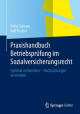 Praxishandbuch Betriebsprüfung im Sozialversicherungsrecht - Petra Schewe, Ralf Fischer