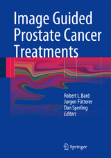 Image Guided Prostate Cancer Treatments - 