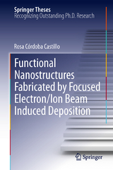 Functional Nanostructures Fabricated by Focused Electron/Ion Beam Induced Deposition - Rosa Córdoba Castillo