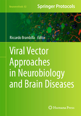 Viral Vector Approaches in Neurobiology and Brain Diseases - 