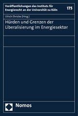 Hürden und Grenzen der Liberalisierung im Energiesektor - 