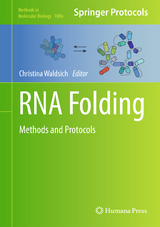 RNA Folding - 