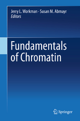 Fundamentals of Chromatin - 