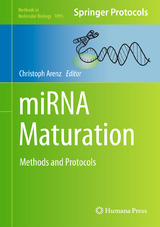 miRNA Maturation - 