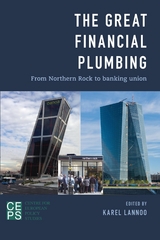 Great Financial Plumbing -  Karel Lannoo