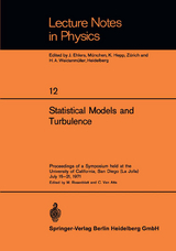 Statistical Models and Turbulence - 