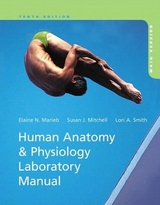 Human Anatomy & Physiology Laboratory Manual, Main Version - Marieb, Elaine N.; Mitchell, Susan J.; Smith, Lori A.