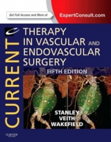 Current Therapy in Vascular and Endovascular Surgery - Stanley, James C.; Veith, Frank; Wakefield, Thomas W