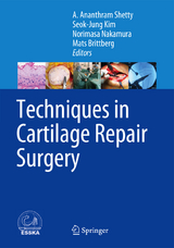 Techniques in Cartilage Repair Surgery - 