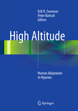 High Altitude - 