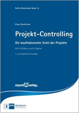 Projekt-Controlling - Demleitner, Klaus