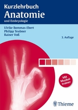 Kurzlehrbuch Anatomie - Ulrike Bommas-Ebert, Philipp Teubner, Rainer Voß