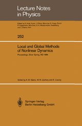 Local and Global Methods of Nonlinear Dynamics - 