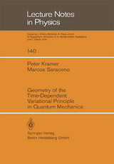 Geometry of the Time-Dependent Variational Principle in Quantum Mechanics - P. Kramer, M. Saraceno