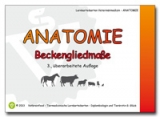 Anatomie: Beckengliedmaße - Glück, Gabriele