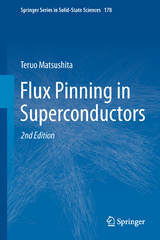 Flux Pinning in Superconductors - Teruo Matsushita