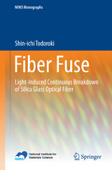 Fiber Fuse - Shin-Ichi Todoroki