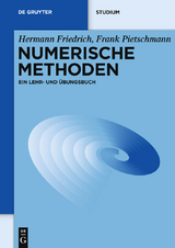 Numerische Methoden - Hermann Friedrich, Frank Pietschmann