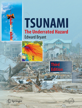 Tsunami - Bryant, Edward