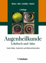 Augenheilkunde - 