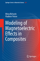 Modeling of Magnetoelectric Effects in Composites - Mirza Bichurin, Vladimir Petrov