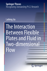 The Interaction Between Flexible Plates and Fluid in Two-dimensional Flow - Laibing Jia