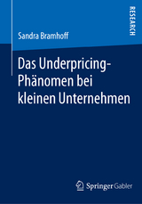 Das Underpricing-Phänomen bei kleinen Unternehmen - Sandra Bramhoff