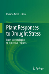 Plant Responses to Drought Stress - 