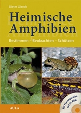 Heimische Amphibien - Dieter Glandt