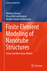 Finite Element Modeling of Nanotube Structures - Mokhtar Awang, Ehsan Mohammadpour, Ibrahim Dauda Muhammad