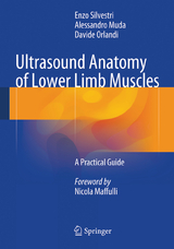 Ultrasound Anatomy of Lower Limb Muscles - Enzo Silvestri, Alessandro Muda, Davide Orlandi