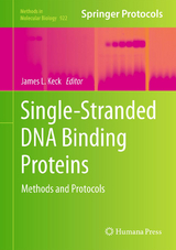 Single-Stranded DNA Binding Proteins - 