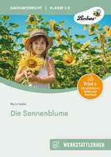 Die Sonnenblume - Mara Hasler