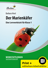 Der Marienkäfer - Barbara Hinel