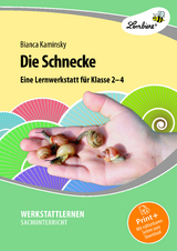 Die Schnecke - Bianca Kaminsky