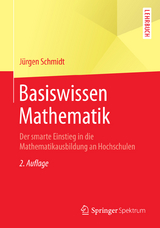 Basiswissen Mathematik - Jürgen Schmidt