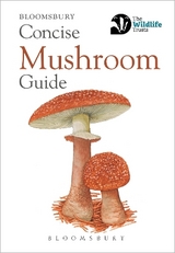 Concise Mushroom Guide - Bloomsbury