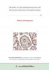 Die Rolle von Steroidsulfattransportern für die humane plazentare Östrogensynthese - Helene Schweigmann