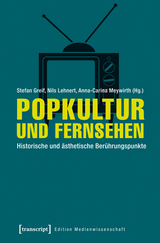 Popkultur und Fernsehen - 